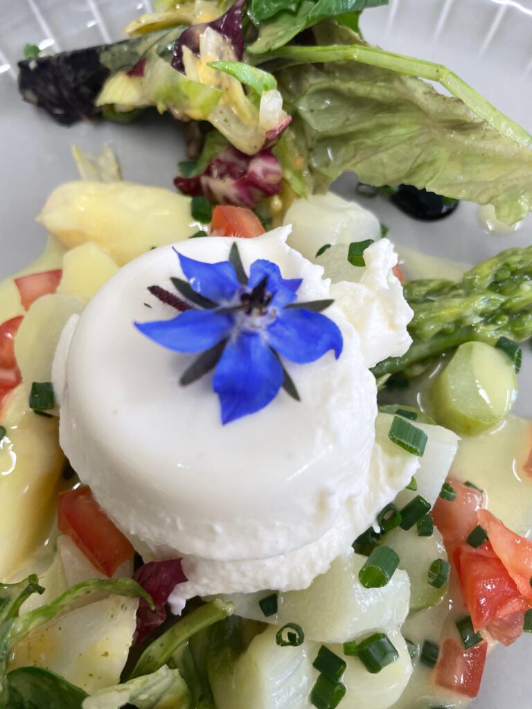 Spargel-Panna-Cotta im Castell