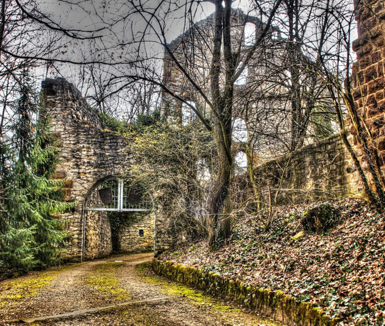 Burgruine Scharfenberg